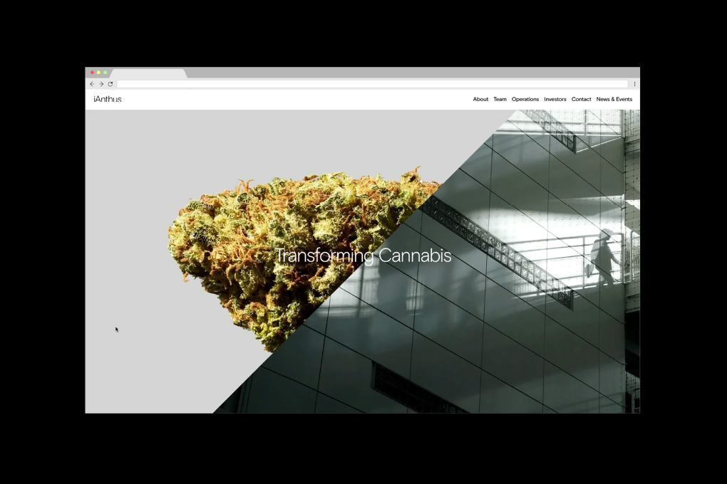 Webpage screenshot displaying iAnthus website design
