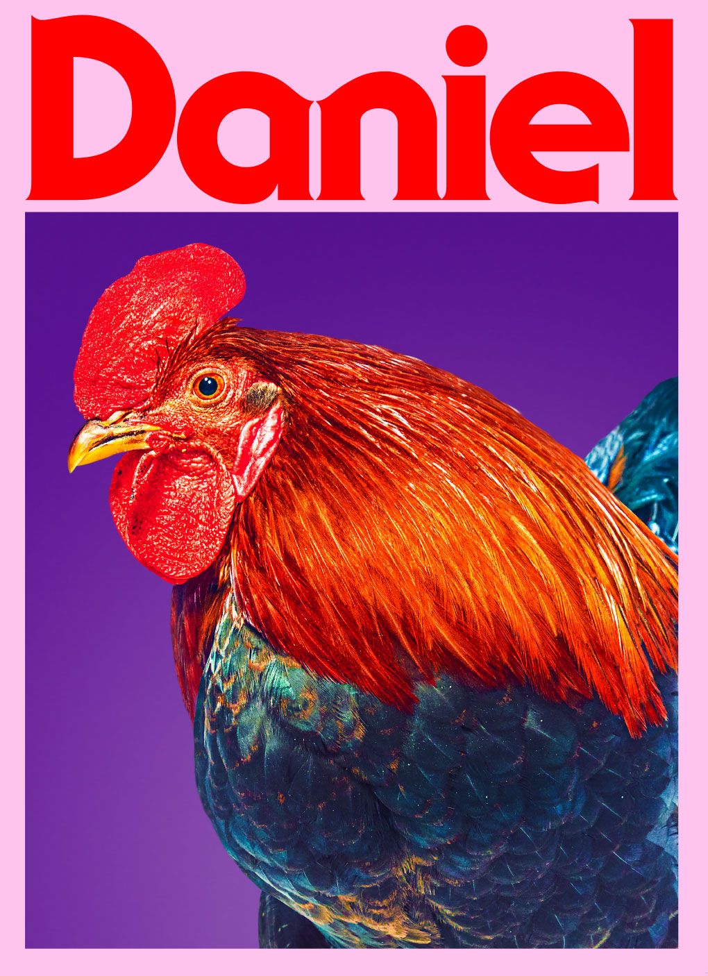 Daniel Rooster poster
