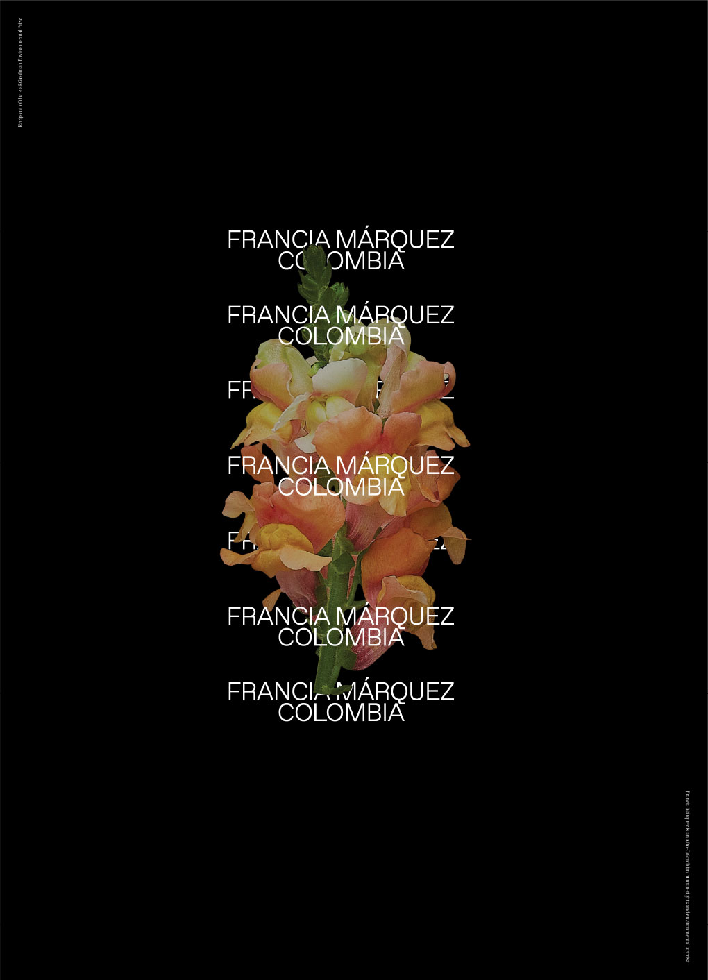 Francia Marquez Colombia poster